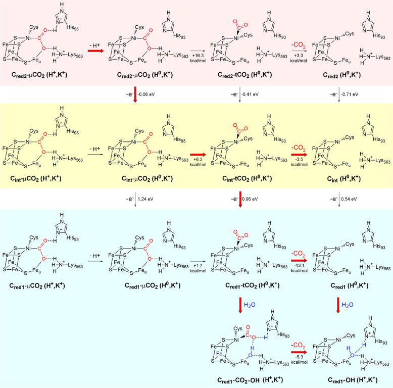 https://cdn.ncbi.nlm.nih.gov/pmc/blobs/806b/7872322/7f7887323ba9/ic0c03034_0008.jpg