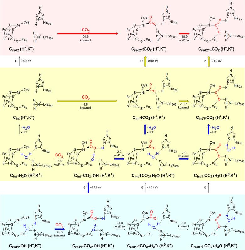 https://cdn.ncbi.nlm.nih.gov/pmc/blobs/806b/7872322/a44a9338ad30/ic0c03034_0007.jpg