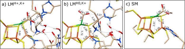 https://cdn.ncbi.nlm.nih.gov/pmc/blobs/806b/7872322/fd8c2e7d3685/ic0c03034_0003.jpg