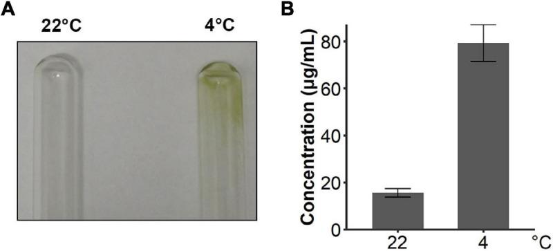 https://cdn.ncbi.nlm.nih.gov/pmc/blobs/806b/7874021/981fee008142/fmicb-11-611080-g008.jpg