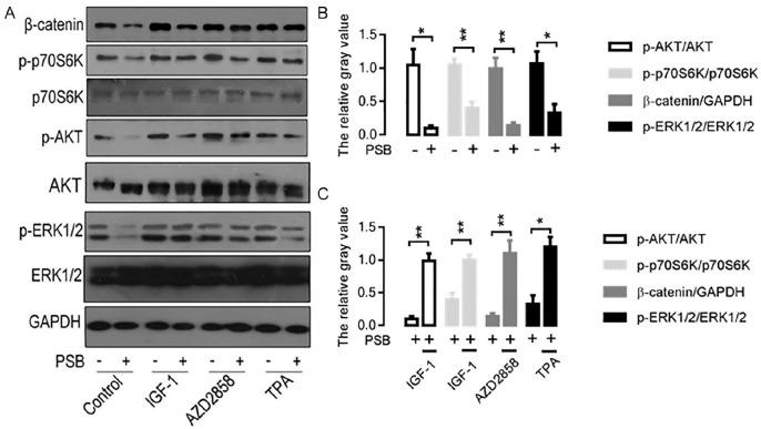 https://cdn.ncbi.nlm.nih.gov/pmc/blobs/806c/7727080/9d040bd26e70/10.1177_1534735420972477-fig3.jpg