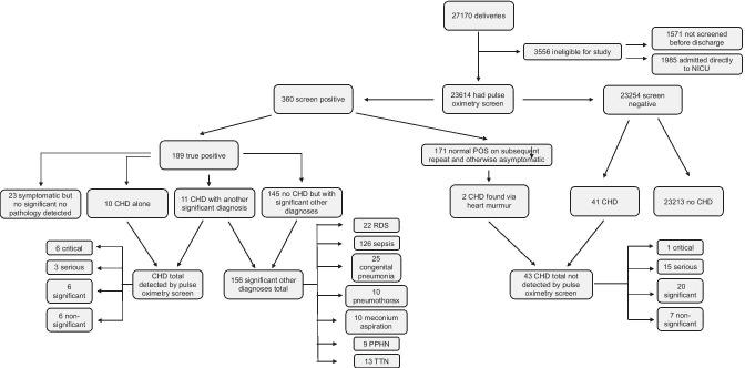 https://cdn.ncbi.nlm.nih.gov/pmc/blobs/806d/8821483/2aebd5eaaf61/431_2021_4275_Fig1_HTML.jpg