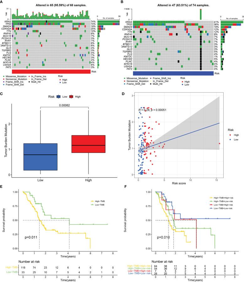 https://cdn.ncbi.nlm.nih.gov/pmc/blobs/8070/9895410/8f7eebd9dfbd/fendo-13-1078424-g008.jpg
