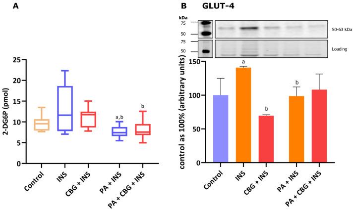 https://cdn.ncbi.nlm.nih.gov/pmc/blobs/8071/12249120/0ad1f8359770/cells-14-00998-g005.jpg