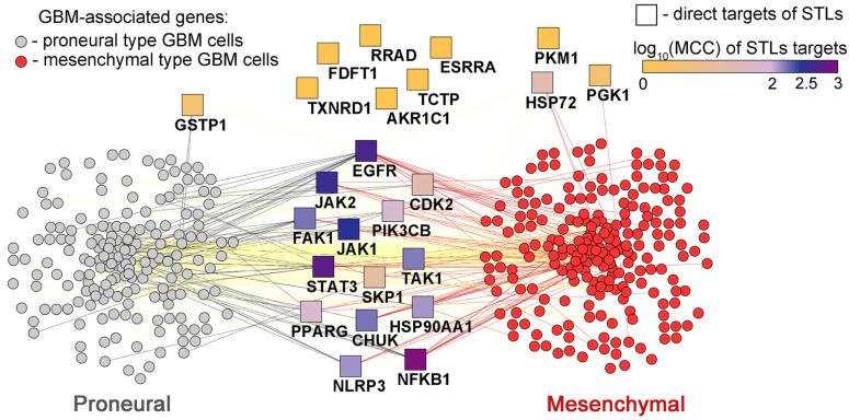 https://cdn.ncbi.nlm.nih.gov/pmc/blobs/8073/11761231/13824bed4646/biomedicines-13-00133-g004.jpg