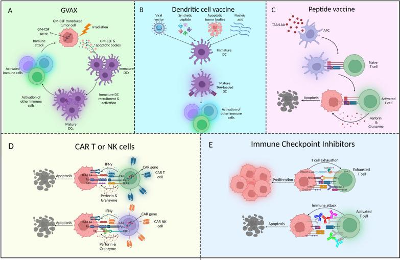 https://cdn.ncbi.nlm.nih.gov/pmc/blobs/8076/12065391/13ff16e4bdb6/12935_2025_3793_Fig3_HTML.jpg