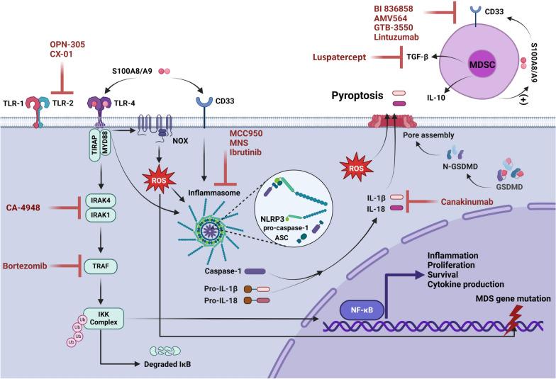 https://cdn.ncbi.nlm.nih.gov/pmc/blobs/8076/12065391/7c332cd73857/12935_2025_3793_Fig2_HTML.jpg