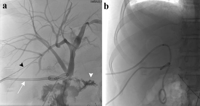 https://cdn.ncbi.nlm.nih.gov/pmc/blobs/8076/8053783/86ba336c4b3b/gr3.jpg