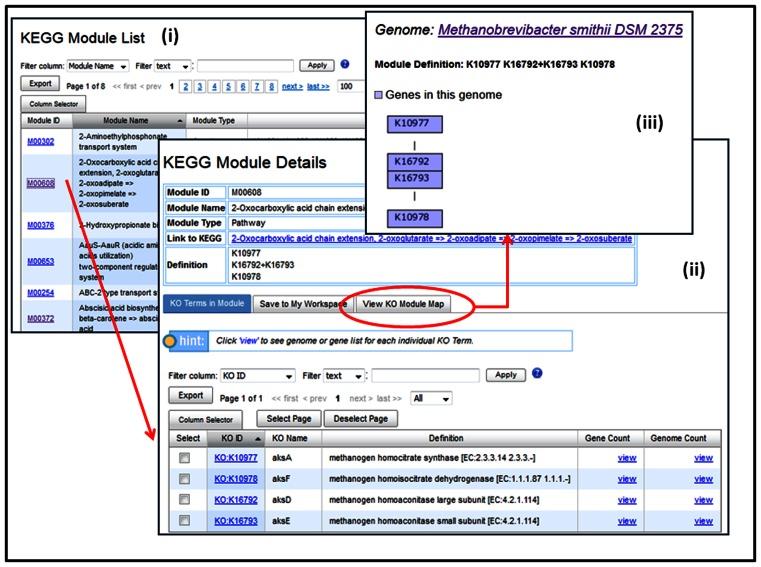 https://cdn.ncbi.nlm.nih.gov/pmc/blobs/807b/5210632/0abb45bbbafc/gkw929fig3.jpg