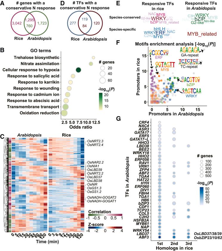 https://cdn.ncbi.nlm.nih.gov/pmc/blobs/807c/12281222/b24aff76b911/gr7.jpg