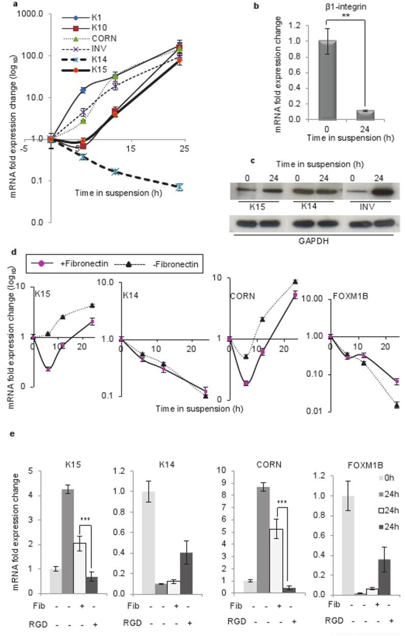 https://cdn.ncbi.nlm.nih.gov/pmc/blobs/807d/3384677/7fed8071d95c/pone.0038599.g001.jpg