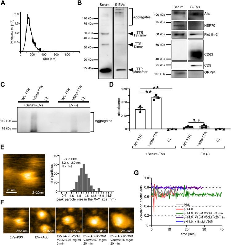 https://cdn.ncbi.nlm.nih.gov/pmc/blobs/807d/8983912/5717bc549fe5/fmolb-09-839917-g003.jpg
