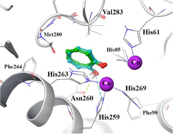 https://cdn.ncbi.nlm.nih.gov/pmc/blobs/807e/10998383/cf73ac2f73e9/13065_2024_1167_Fig3_HTML.jpg