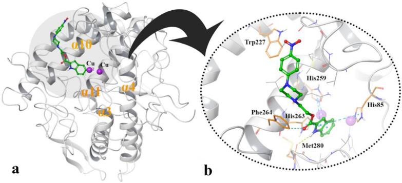 https://cdn.ncbi.nlm.nih.gov/pmc/blobs/807e/10998383/d2fc58c2b92b/13065_2024_1167_Fig4_HTML.jpg