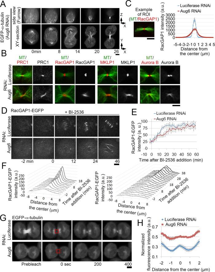 https://cdn.ncbi.nlm.nih.gov/pmc/blobs/807e/4803307/141e6e33dae8/812fig7.jpg