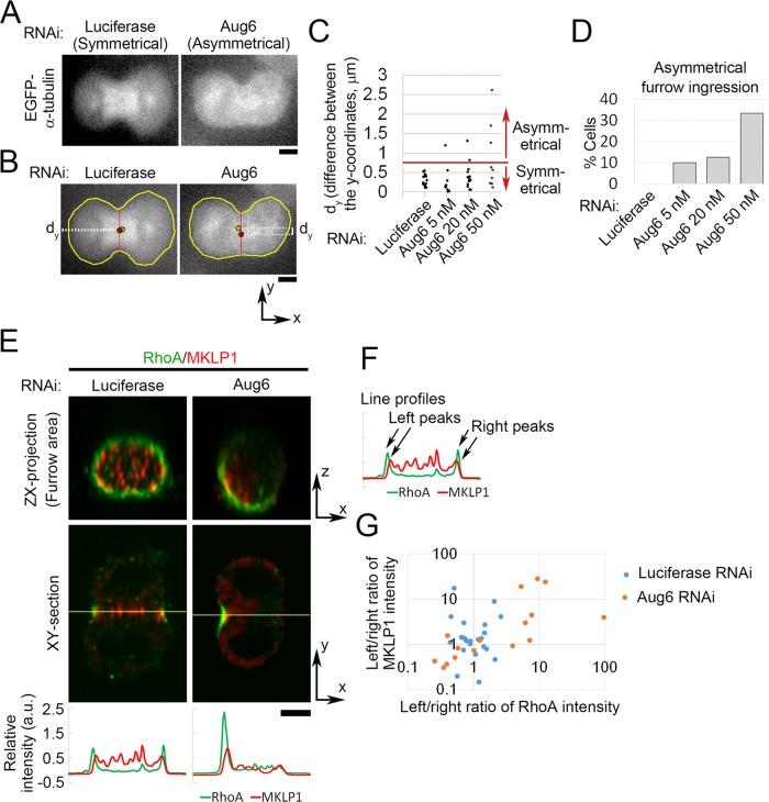 https://cdn.ncbi.nlm.nih.gov/pmc/blobs/807e/4803307/e43e7a6b9cc3/812fig6.jpg