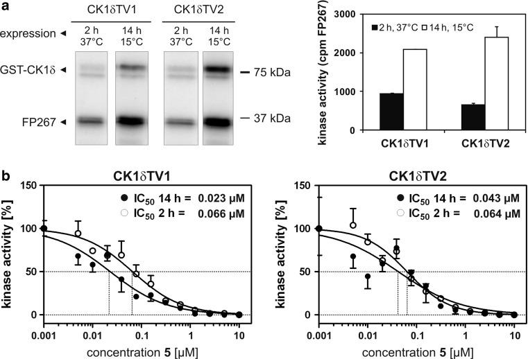 https://cdn.ncbi.nlm.nih.gov/pmc/blobs/807f/3448056/54af236e4206/726_2012_1234_Fig3_HTML.jpg
