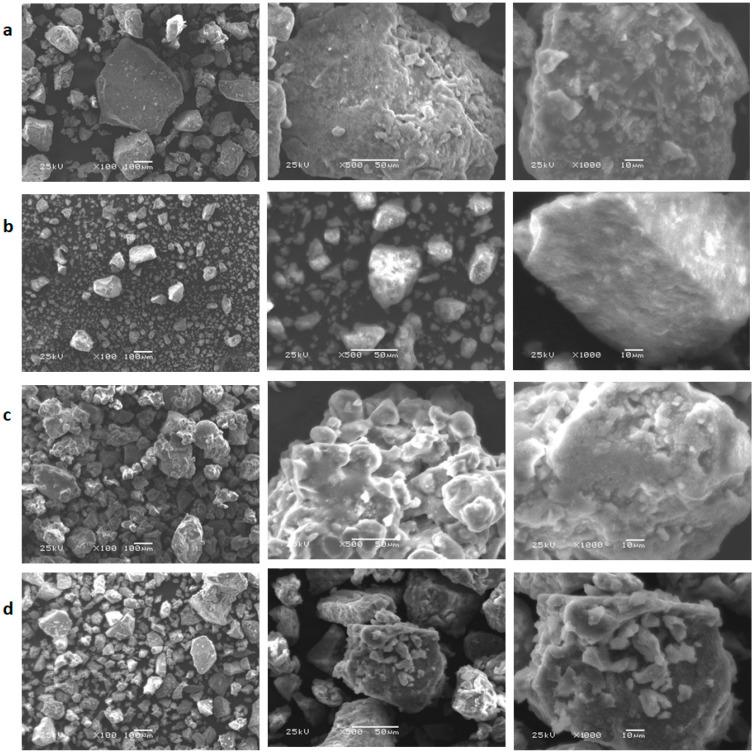 https://cdn.ncbi.nlm.nih.gov/pmc/blobs/8080/10255529/091cded5b4e9/polymers-15-02511-g006.jpg