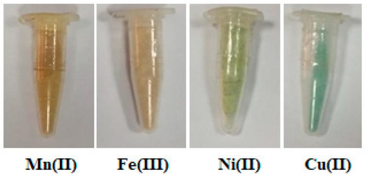 https://cdn.ncbi.nlm.nih.gov/pmc/blobs/8080/10255529/9df069fa9dbf/polymers-15-02511-g001.jpg
