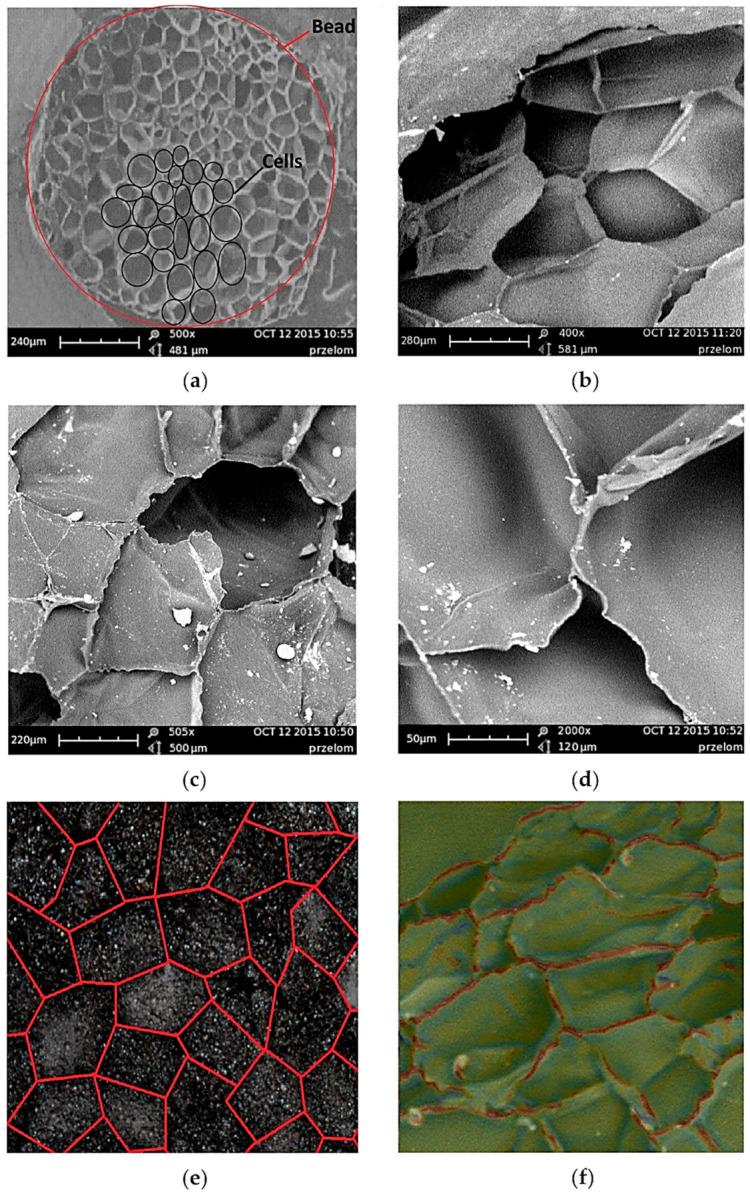 https://cdn.ncbi.nlm.nih.gov/pmc/blobs/8081/7825443/ef2ba779a4e4/materials-14-00249-g001.jpg