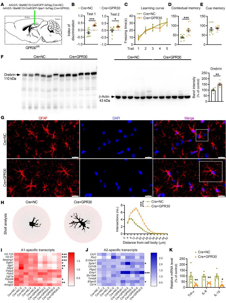 https://cdn.ncbi.nlm.nih.gov/pmc/blobs/8082/10503807/43b8d760bee2/jci-133-165812-g053.jpg