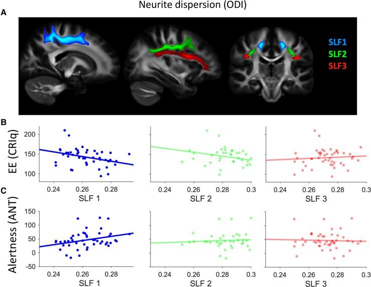 https://cdn.ncbi.nlm.nih.gov/pmc/blobs/8083/9035529/8ac02f5fefcd/fcac080f4.jpg
