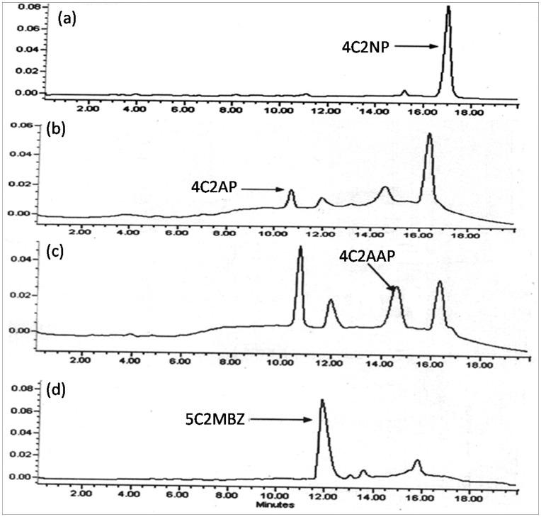 https://cdn.ncbi.nlm.nih.gov/pmc/blobs/8087/3520910/a247adfdb4eb/pone.0052012.g003.jpg