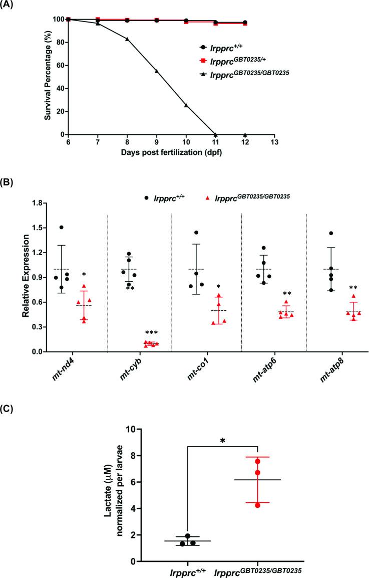 https://cdn.ncbi.nlm.nih.gov/pmc/blobs/8088/9859037/cf78ab248354/elife-65488-fig4.jpg