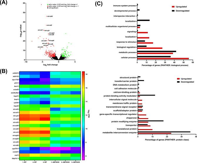 https://cdn.ncbi.nlm.nih.gov/pmc/blobs/8088/9859037/e3463bd7ba51/elife-65488-fig6.jpg