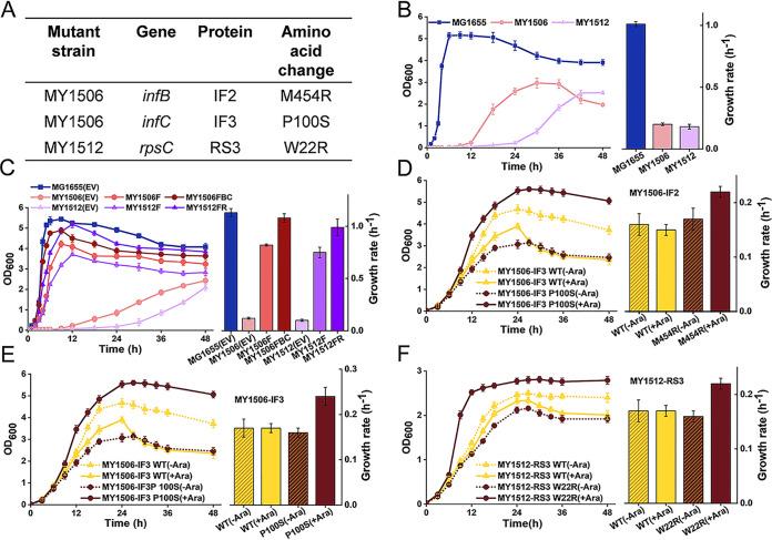 https://cdn.ncbi.nlm.nih.gov/pmc/blobs/8089/7844537/0382986bede2/mBio.02373-20-f0001.jpg