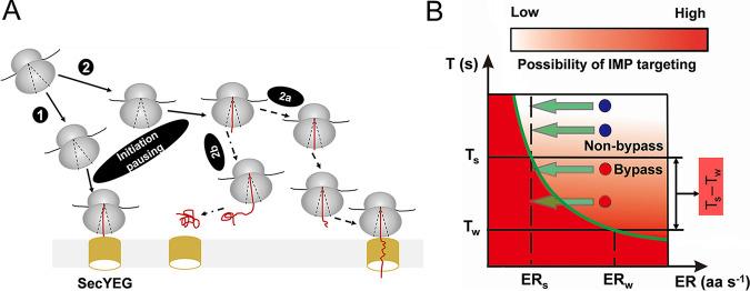 https://cdn.ncbi.nlm.nih.gov/pmc/blobs/8089/7844537/22d22239e8ce/mBio.02373-20-f0006.jpg