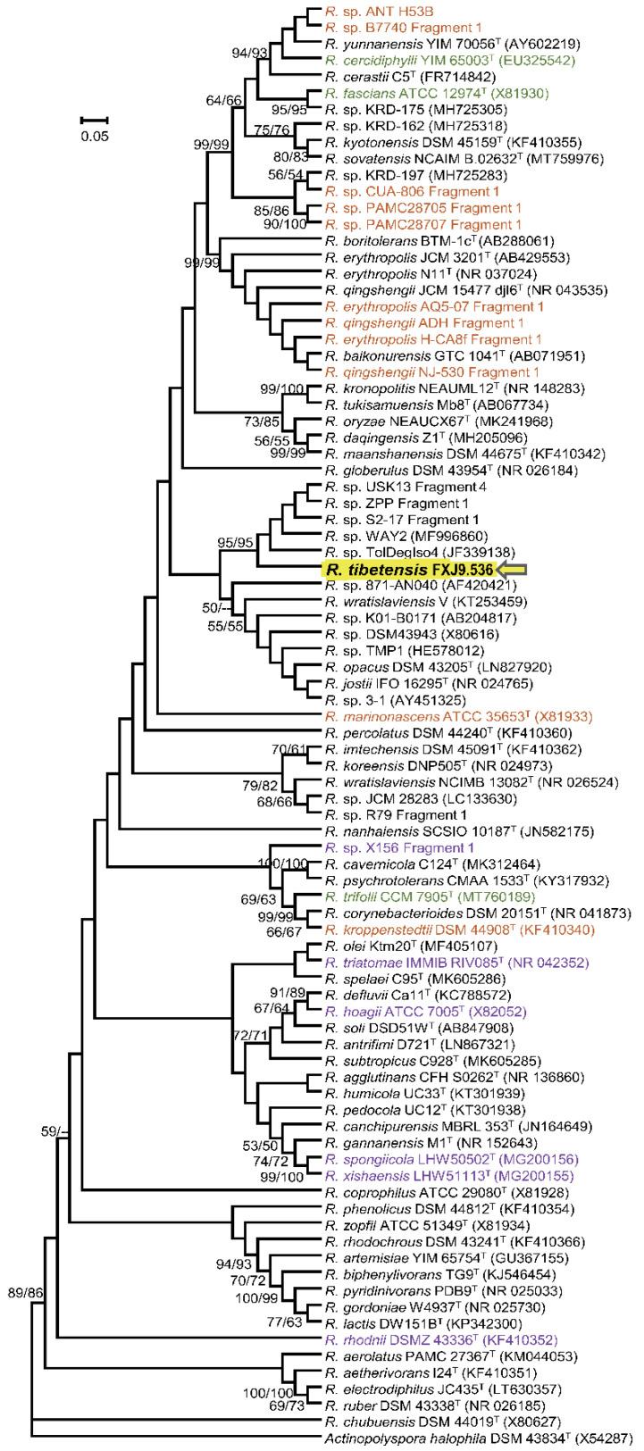 https://cdn.ncbi.nlm.nih.gov/pmc/blobs/808a/9609184/3d26d6e0d8cd/microorganisms-10-01935-g001.jpg
