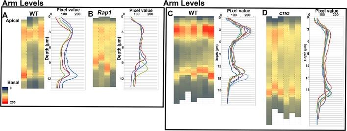 https://cdn.ncbi.nlm.nih.gov/pmc/blobs/808b/3608504/f9834c40fac9/945fig2.jpg