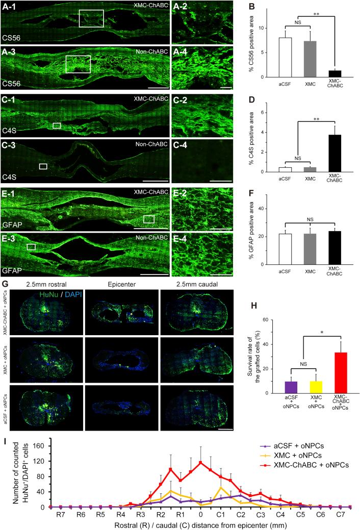 https://cdn.ncbi.nlm.nih.gov/pmc/blobs/808e/6294173/7e975fbebc5e/gr2.jpg