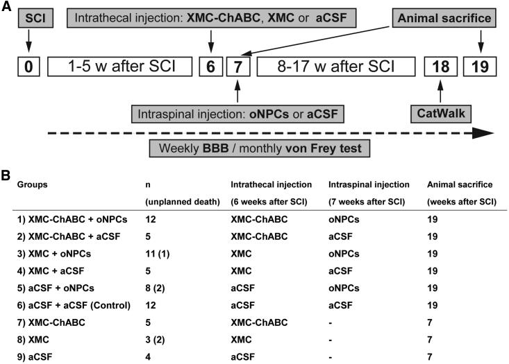 https://cdn.ncbi.nlm.nih.gov/pmc/blobs/808e/6294173/cb9402a2adb7/gr7.jpg