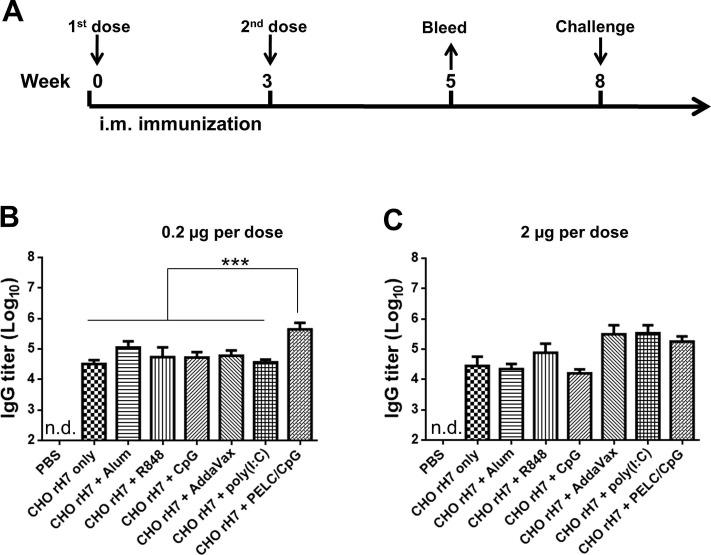 https://cdn.ncbi.nlm.nih.gov/pmc/blobs/808e/7115541/a34803fd64e4/gr2_lrg.jpg