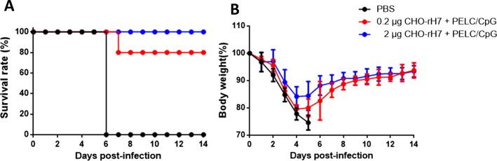 https://cdn.ncbi.nlm.nih.gov/pmc/blobs/808e/7115541/f9ad2a42f705/gr5_lrg.jpg