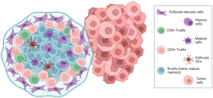https://cdn.ncbi.nlm.nih.gov/pmc/blobs/808f/10757966/129943f159b2/fimmu-14-1328651-g002.jpg