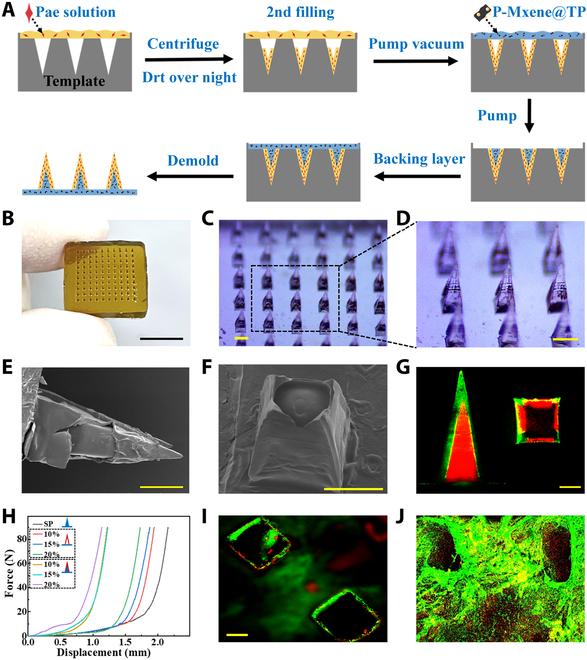 https://cdn.ncbi.nlm.nih.gov/pmc/blobs/808f/11223756/6801de77820a/research.0420.fig.002.jpg