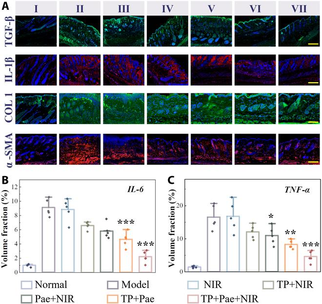https://cdn.ncbi.nlm.nih.gov/pmc/blobs/808f/11223756/8ee57cefee53/research.0420.fig.006.jpg