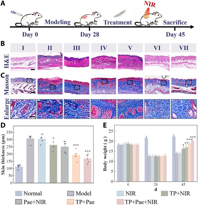 https://cdn.ncbi.nlm.nih.gov/pmc/blobs/808f/11223756/af938ef0fea0/research.0420.fig.005.jpg