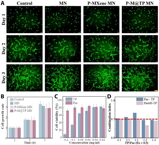 https://cdn.ncbi.nlm.nih.gov/pmc/blobs/808f/11223756/c4140064b4c0/research.0420.fig.004.jpg