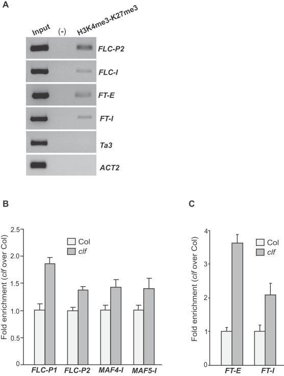 https://cdn.ncbi.nlm.nih.gov/pmc/blobs/808f/2561057/62a31416bf5a/pone.0003404.g007.jpg