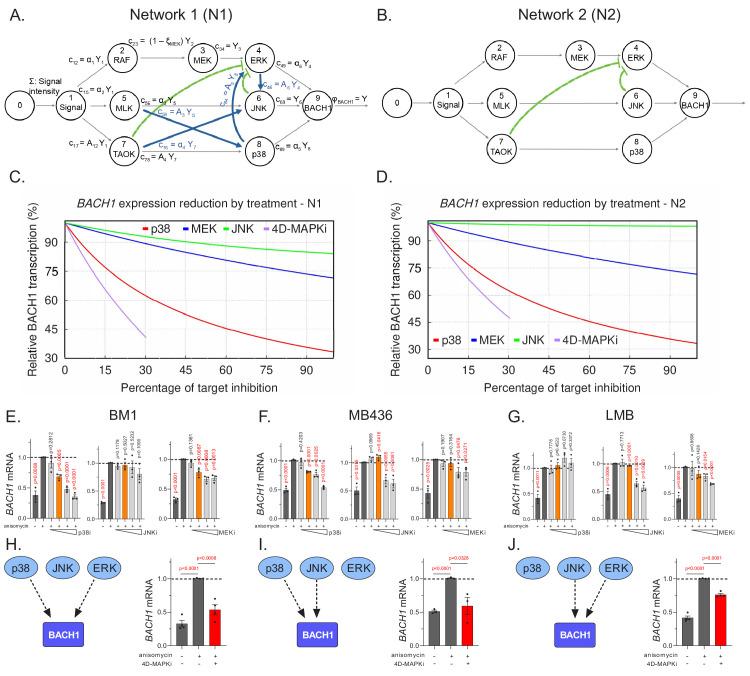 https://cdn.ncbi.nlm.nih.gov/pmc/blobs/808f/8128439/1b2e338c12d6/elife-59696-fig5.jpg