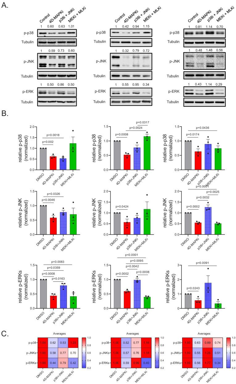 https://cdn.ncbi.nlm.nih.gov/pmc/blobs/808f/8128439/5d93905a50c2/elife-59696-fig3-figsupp1.jpg