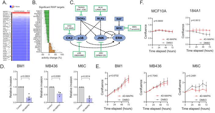 https://cdn.ncbi.nlm.nih.gov/pmc/blobs/808f/8128439/694ff3b72e84/elife-59696-fig3.jpg