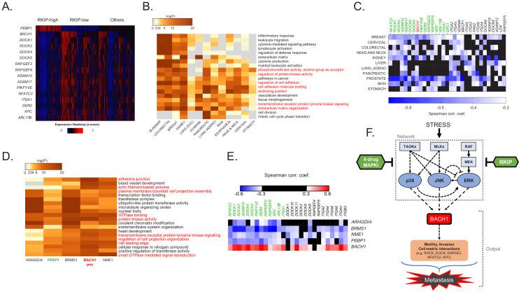 https://cdn.ncbi.nlm.nih.gov/pmc/blobs/808f/8128439/b967c8390e14/elife-59696-fig7.jpg