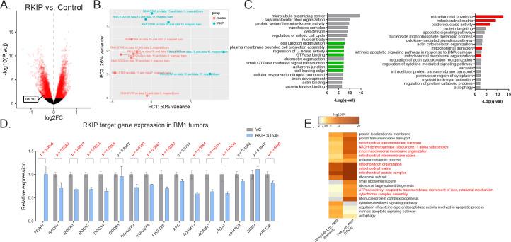 https://cdn.ncbi.nlm.nih.gov/pmc/blobs/808f/8128439/fb0d8590c10f/elife-59696-fig1-figsupp1.jpg
