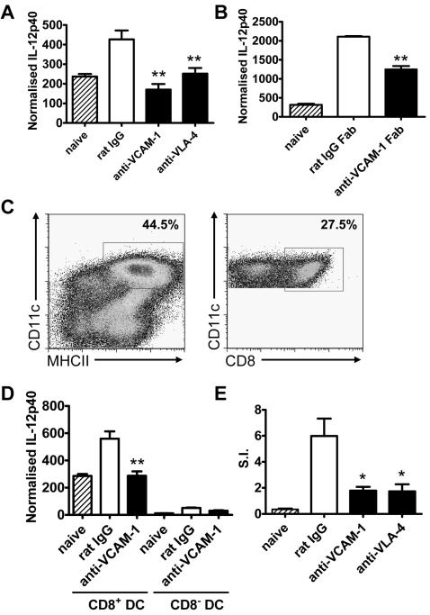 https://cdn.ncbi.nlm.nih.gov/pmc/blobs/8090/2528938/ecac1df11596/ppat.1000158.g007.jpg
