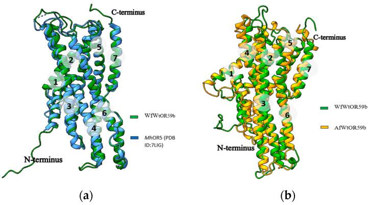 https://cdn.ncbi.nlm.nih.gov/pmc/blobs/8091/10932339/6e34696cab64/ijms-25-03055-g006.jpg